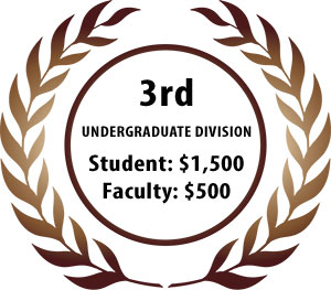 award-3rd-undergrad